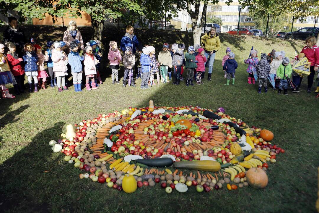 Darželiui "Dobiliukas" padovanotas šiltnamis