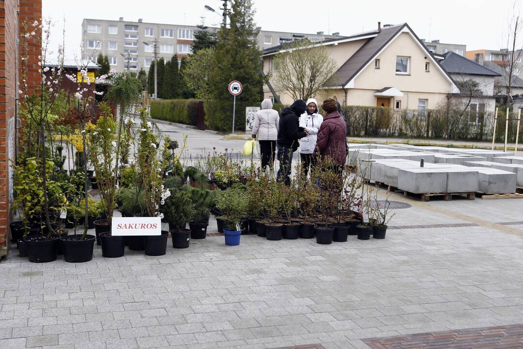 Meras apžiūrėjo Naująjį turgų