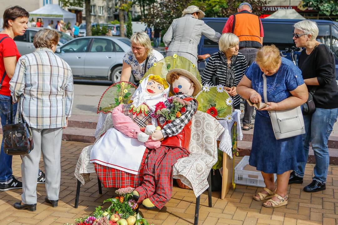 Obuolių šventė Gargžduose