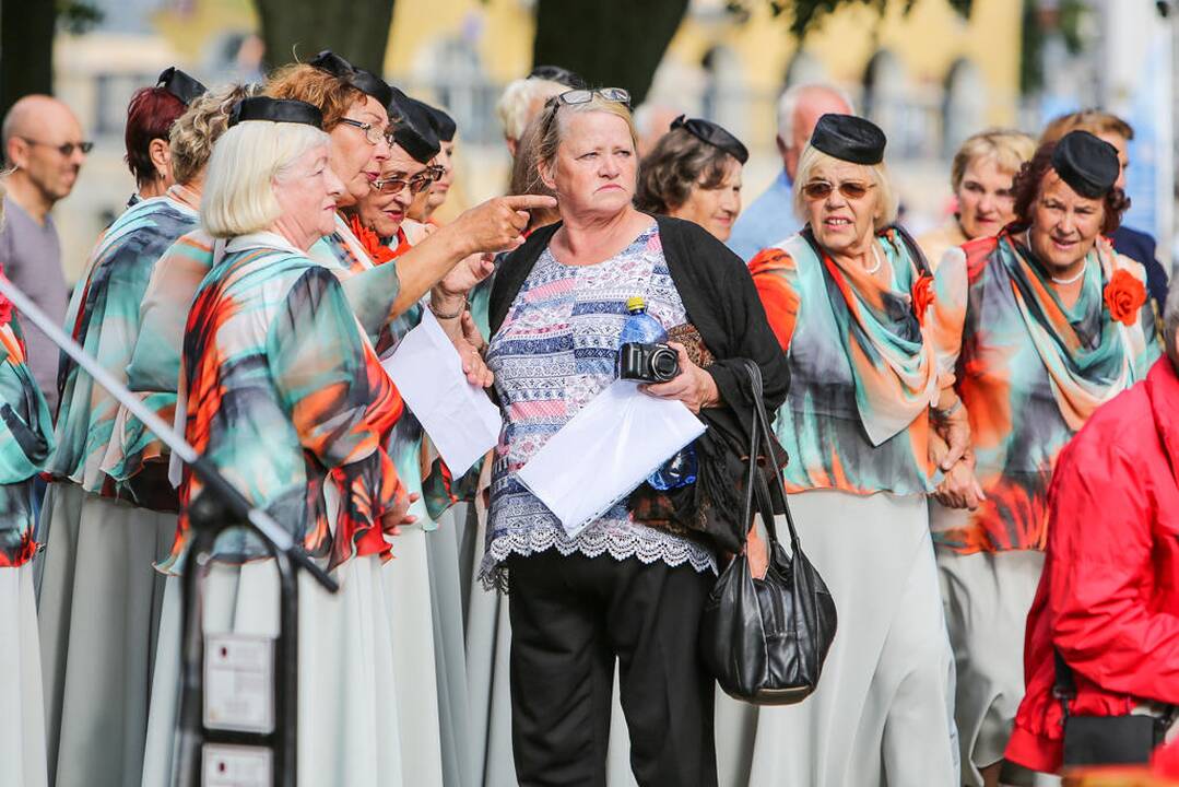 Šokių festivalis "Europos šokių pynė"