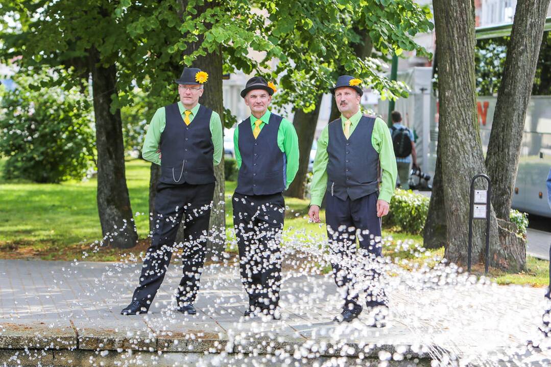 Šokių festivalis "Europos šokių pynė"