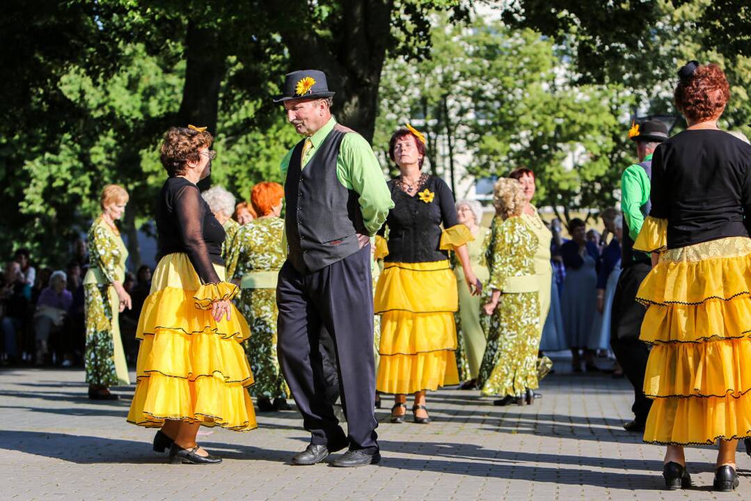 Šokių festivalis "Europos šokių pynė"