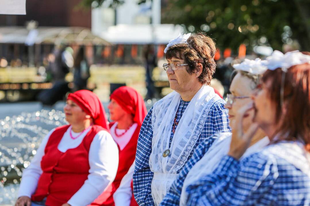 Šokių festivalis "Europos šokių pynė"