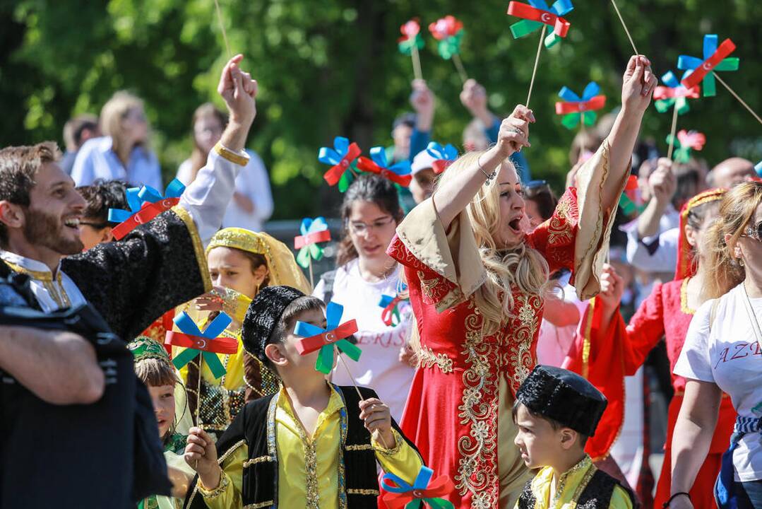 Tautinių mažumų festivalis