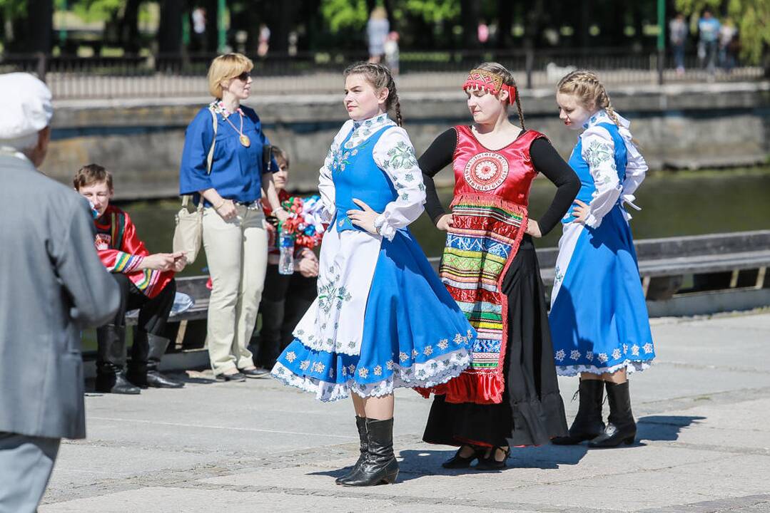 Tautinių mažumų festivalis