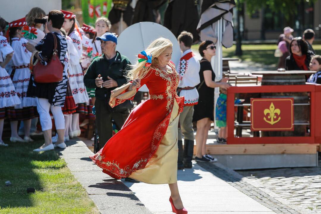 Tautinių mažumų festivalis