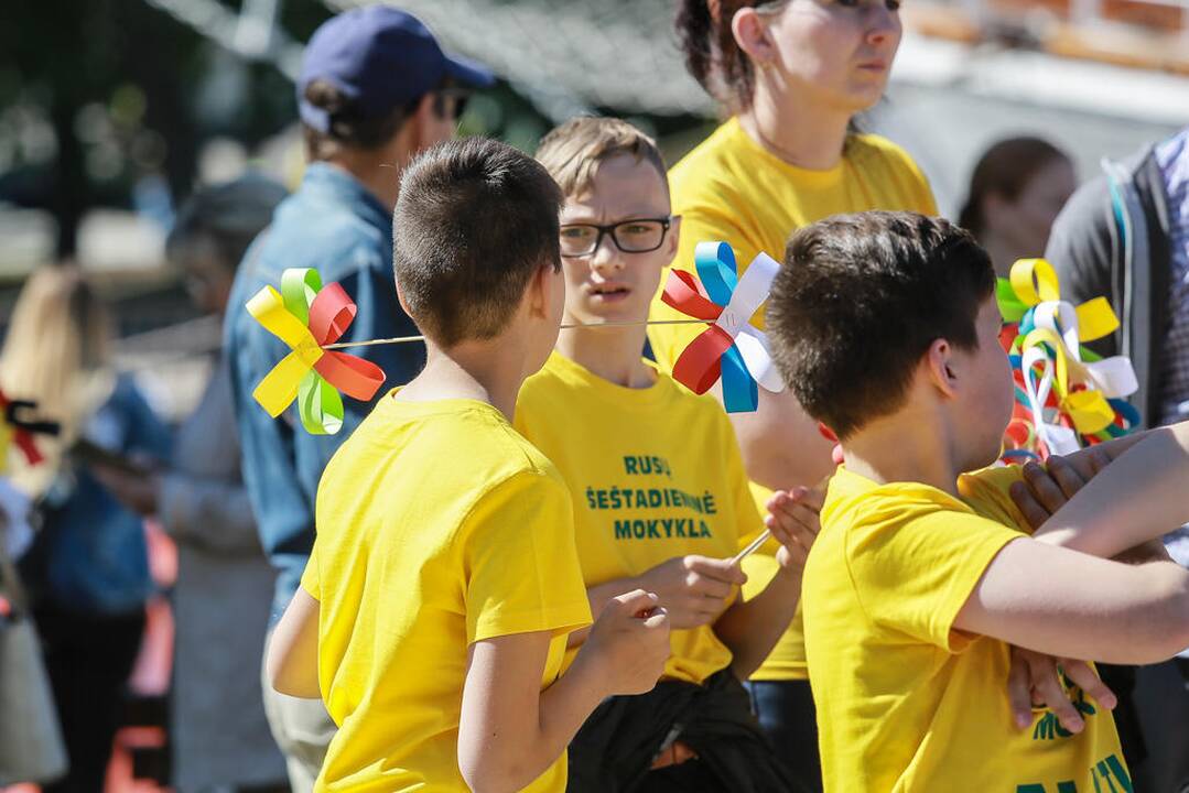 Tautinių mažumų festivalis