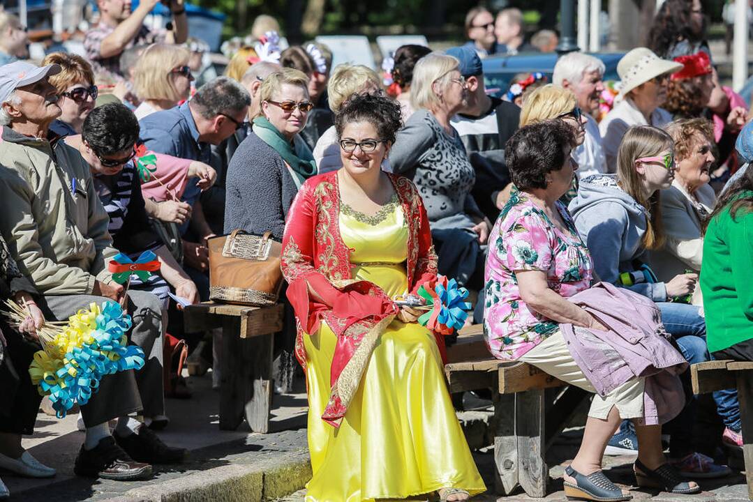Tautinių mažumų festivalis