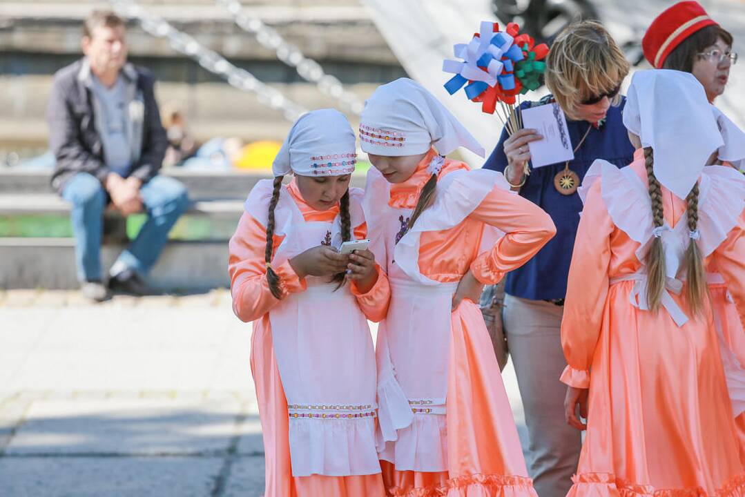 Tautinių mažumų festivalis