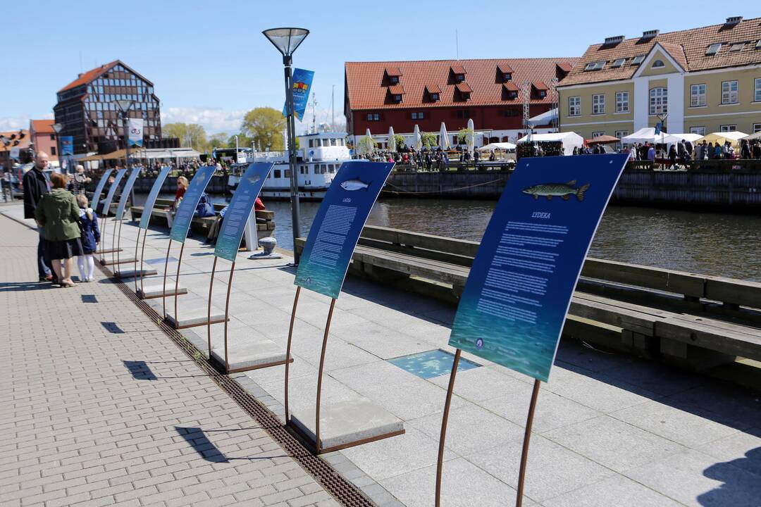 Masiškiausias sriubos valgymas