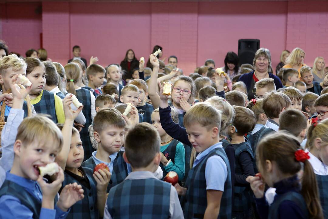 Mokiniai siekė pagerinti obuolių valgymo rekordą