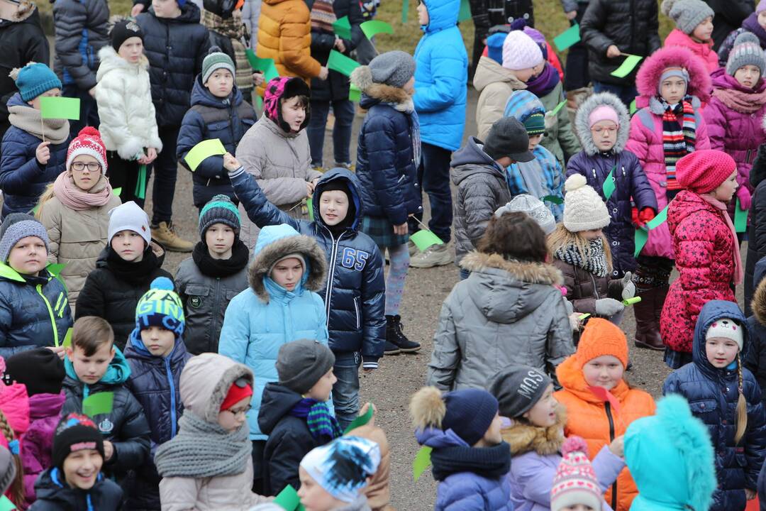 "Verdenės" mokyklos mokinių šokis