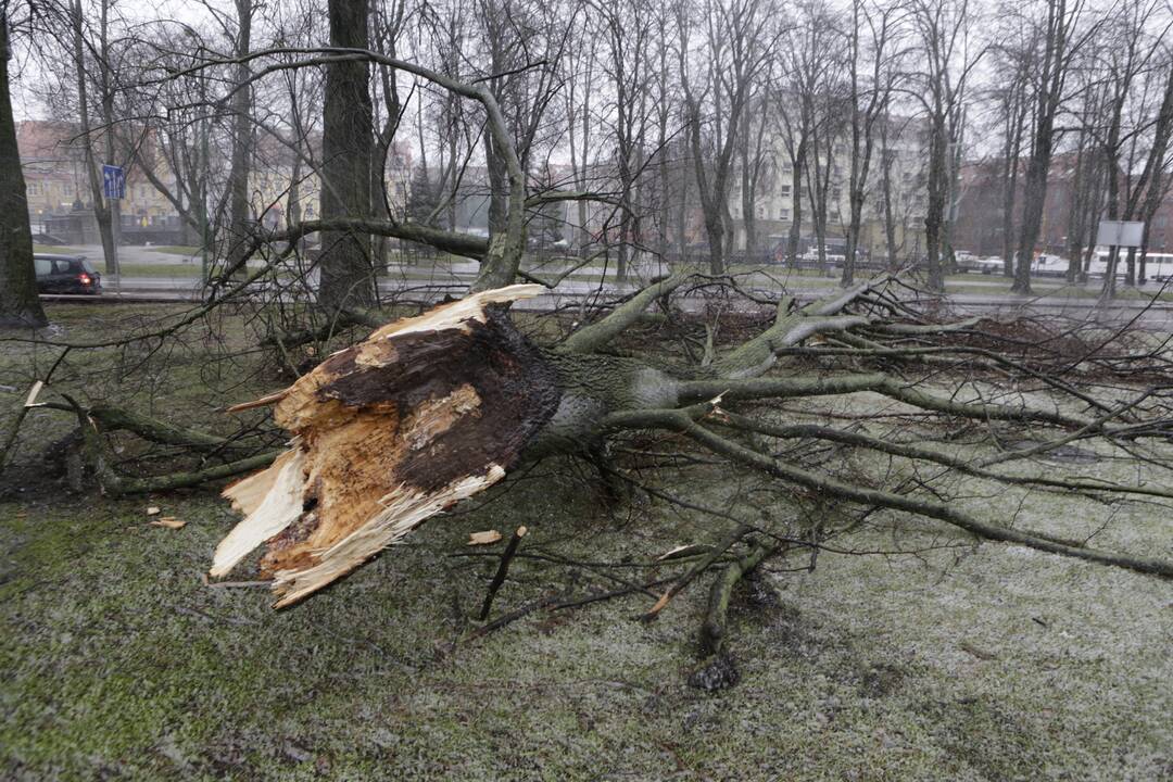 Audra pajūryje vėl tapo iššūkiu: nuvarė nuo kojų uostamiesčio ugniagesius