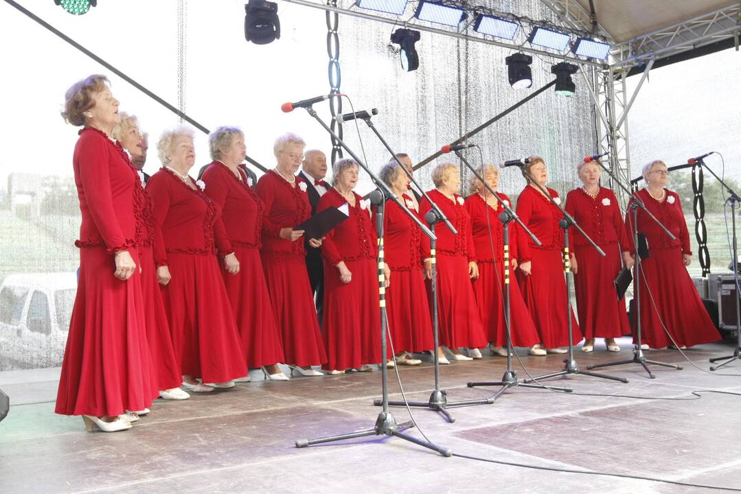 Senjorų fiesta 2015