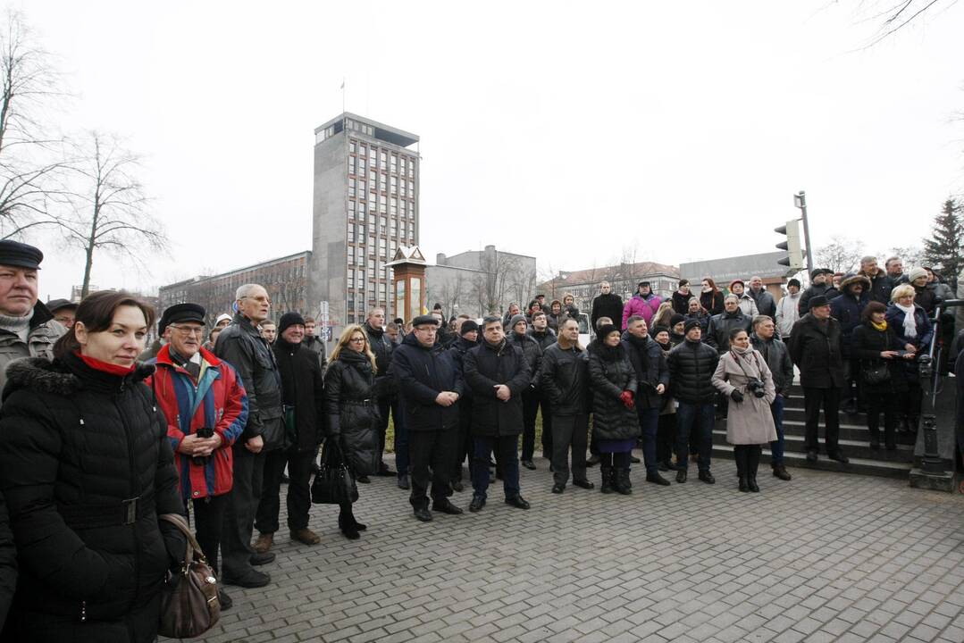 Danės pakrantę papuošė undinėlė