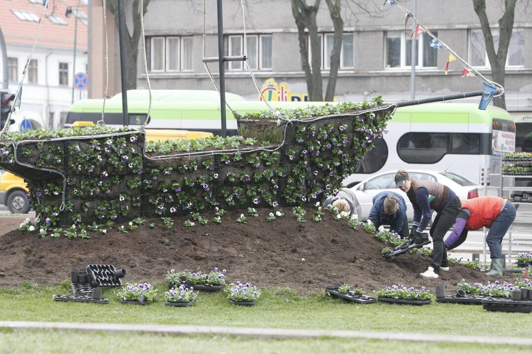 Klaipėdos miestui – madingi gėlynai