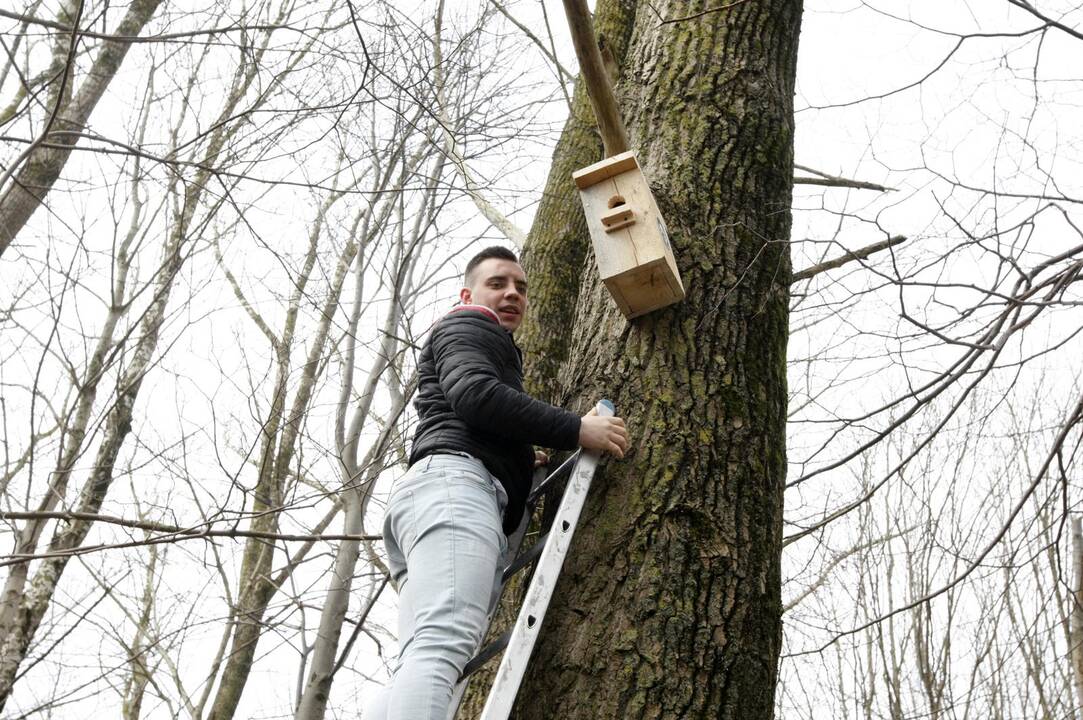 Klaipėdiečiai grąžina skolą gamtai