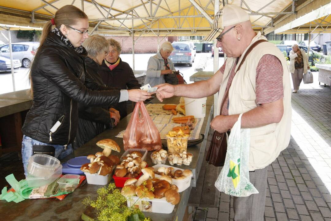 Klaipėdiečius džiugina baravykų derlius