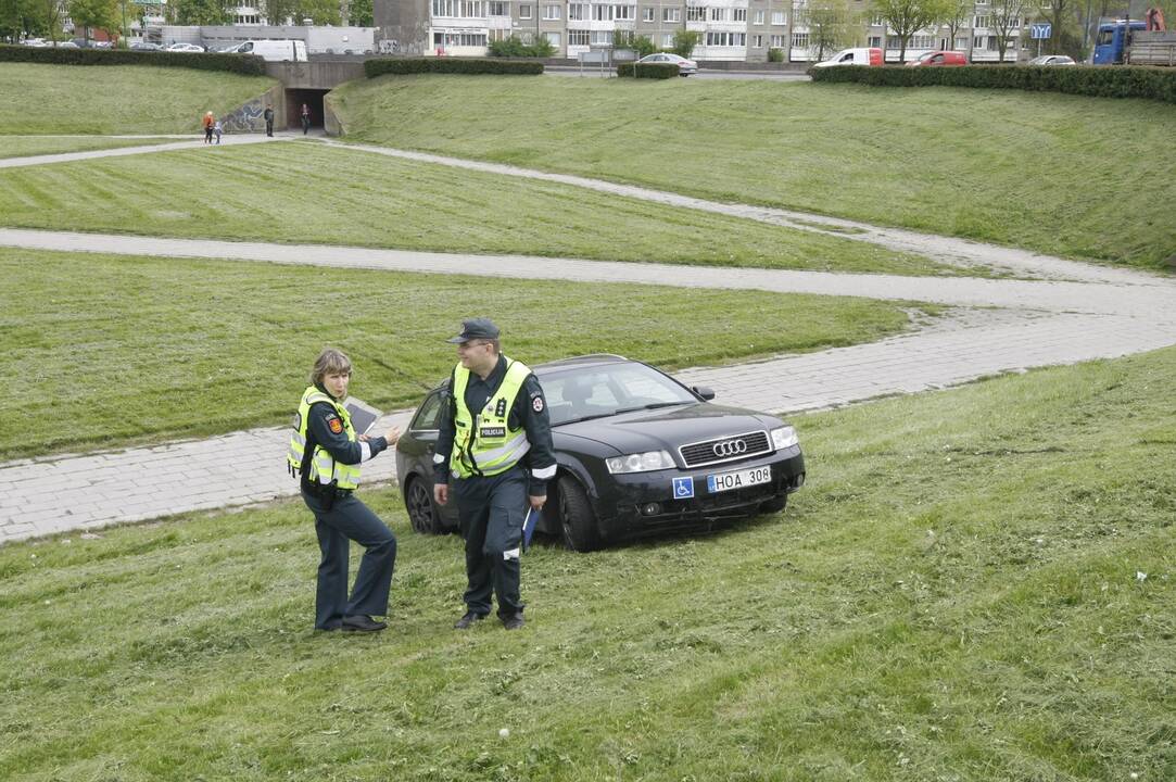 Į žiedinės sankryžos gaudyklę įlėkė automobilis