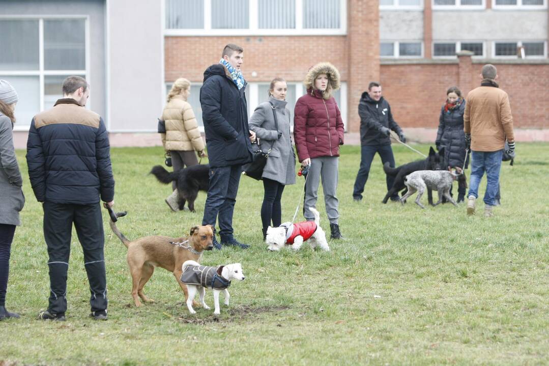 Keturkojų Kalėdos Klaipėdoje