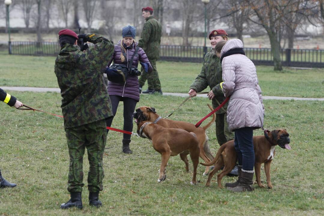 Keturkojų Kalėdos Klaipėdoje