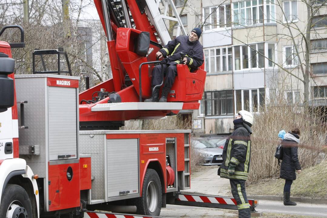 Moters gelbėjimo operacija Klaipėdoje