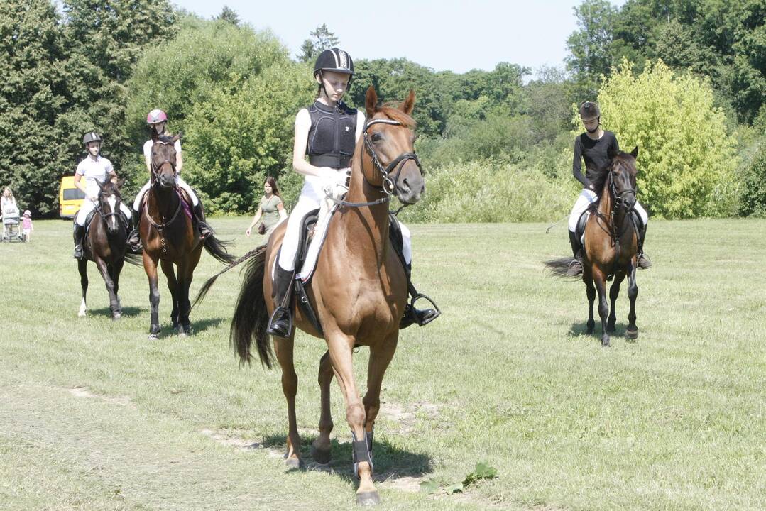 Priekulės miesto ir žirgų sporto šventė