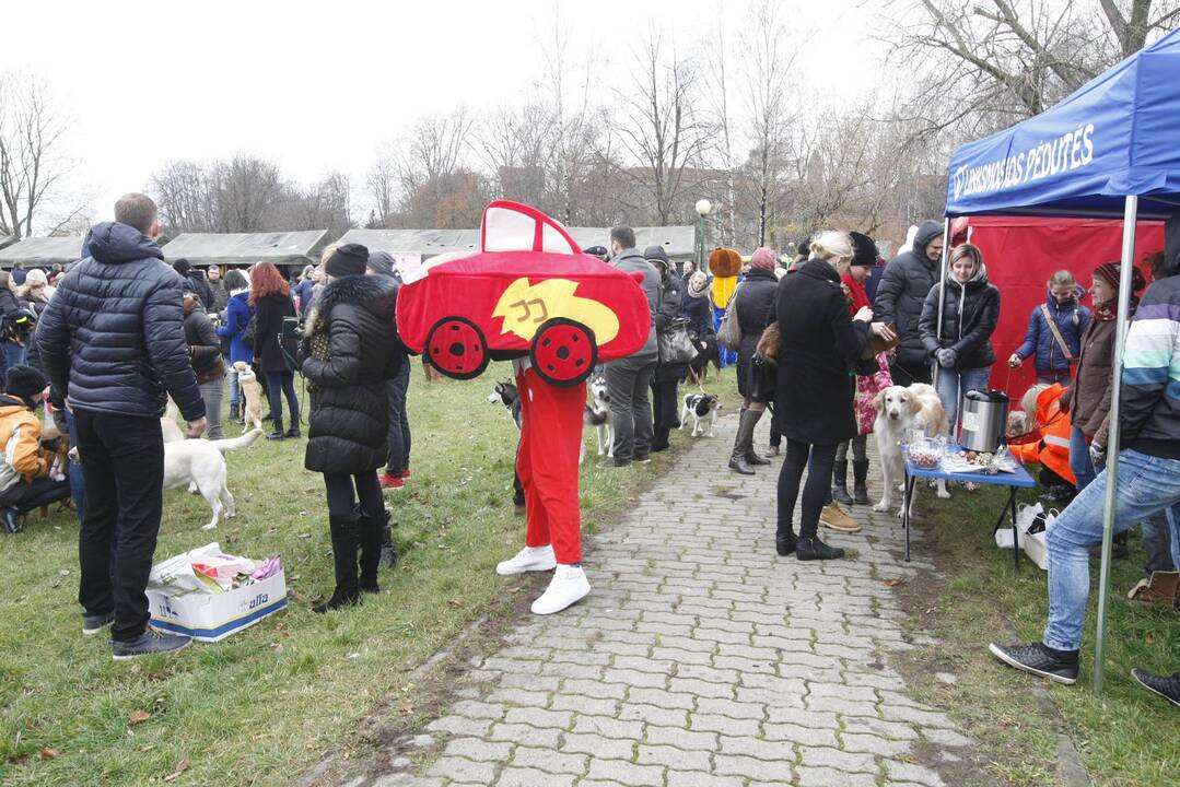 Keturkojų Kalėdos Klaipėdoje