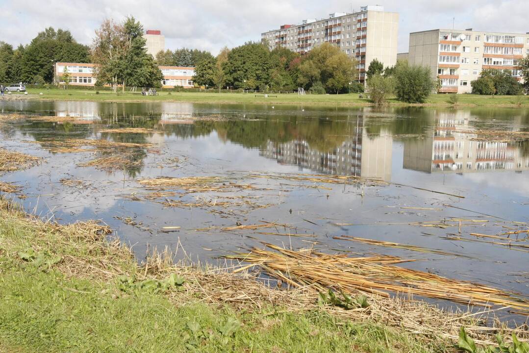 Dėl augalų - nepasitenkinimas