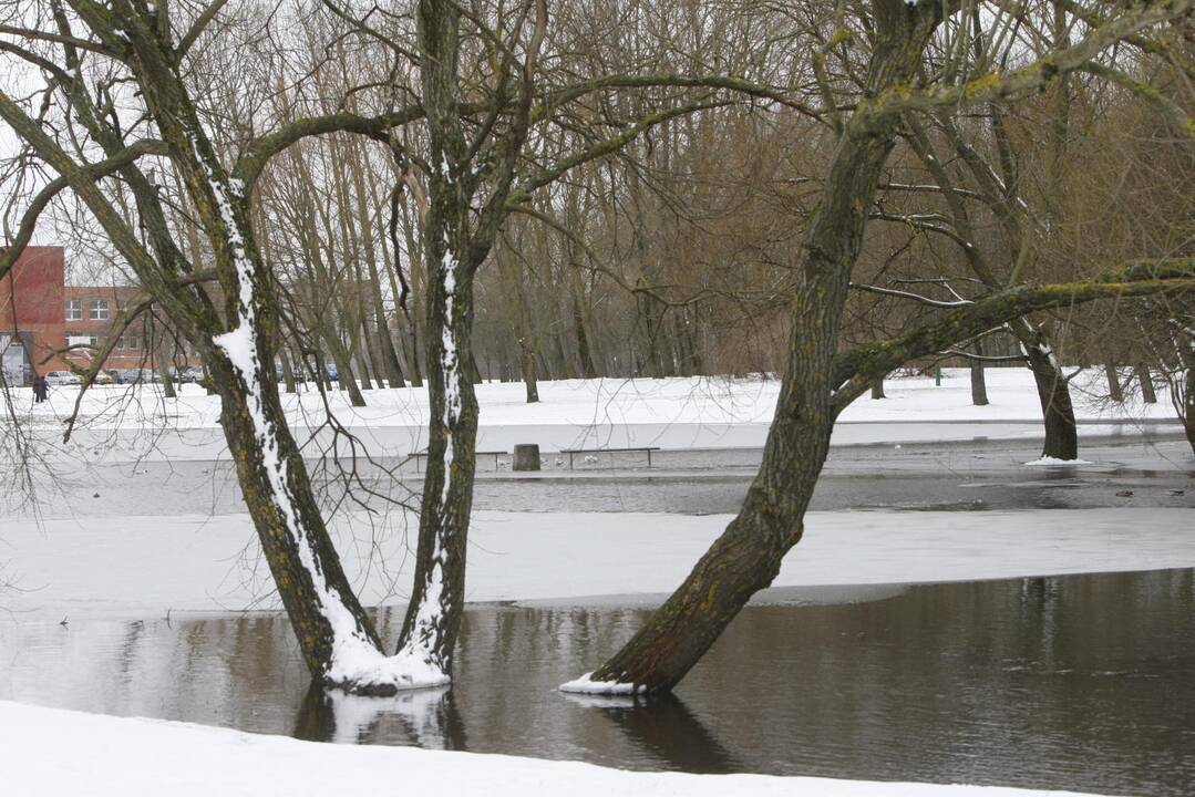 Ieškoti sliekų - į parką