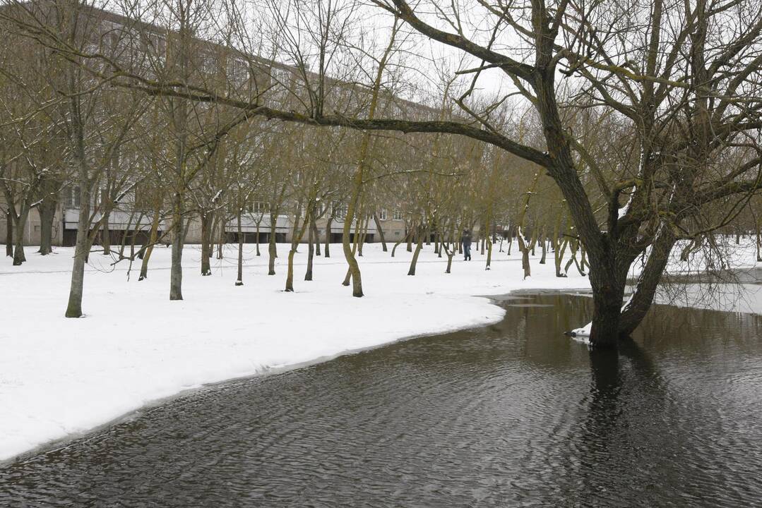 Ieškoti sliekų - į parką