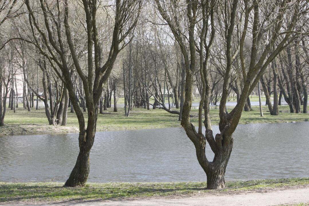 Draugystės parkas tapo šviesesnis