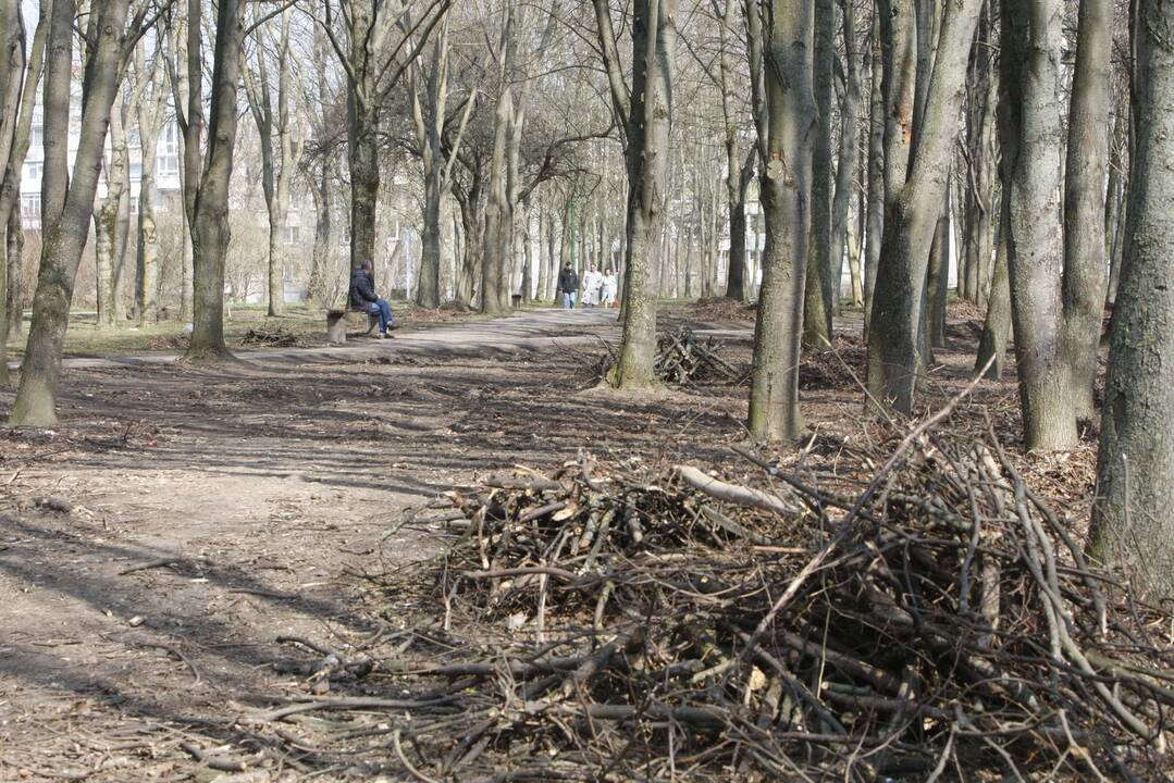 Draugystės parkas tapo šviesesnis