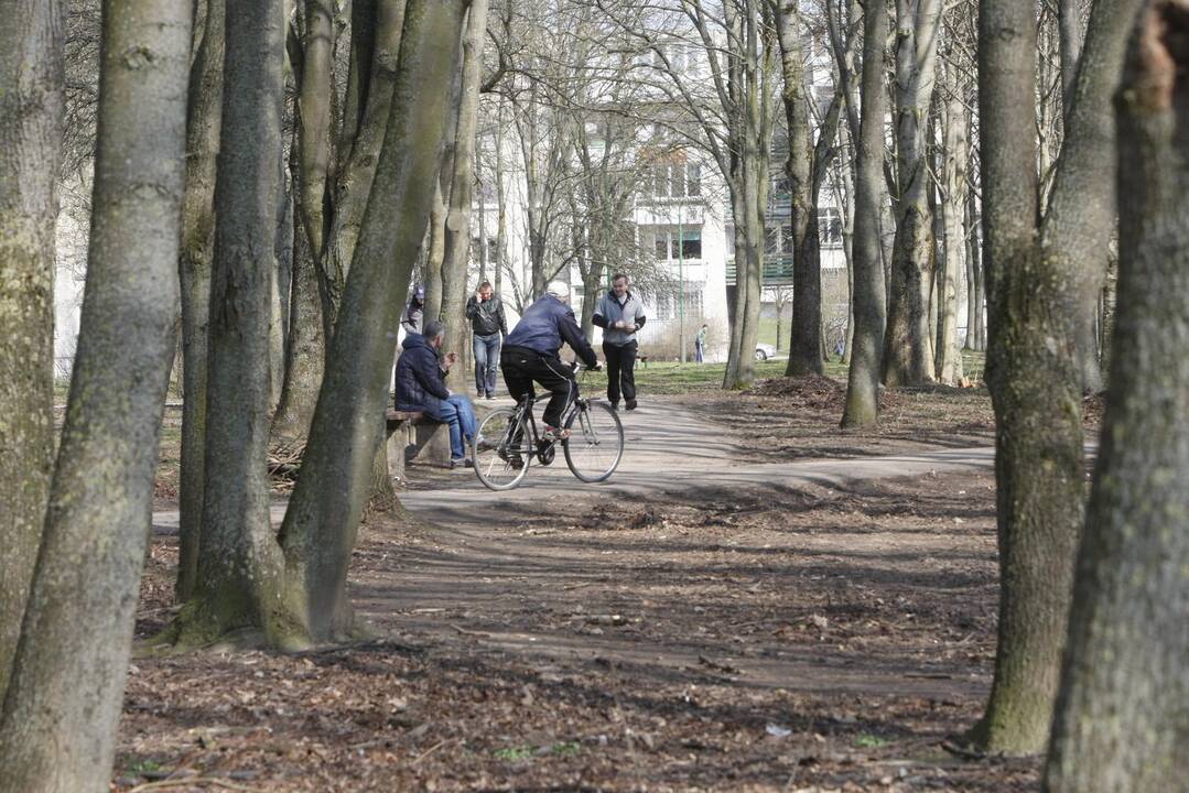 Draugystės parkas tapo šviesesnis