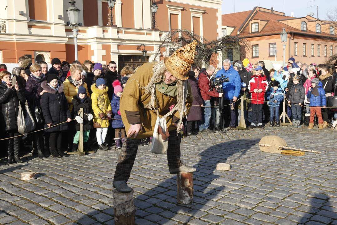 Užgavėnės 2016 Klaipėdoje