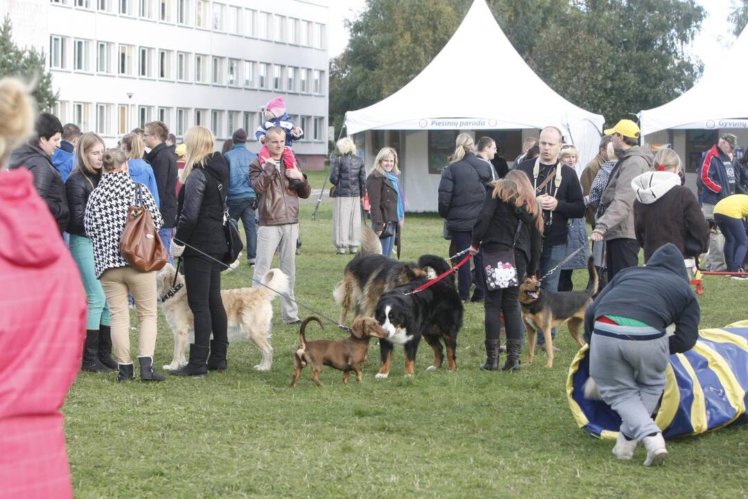 Gargžduose gyvūnų mylėtojų šventė