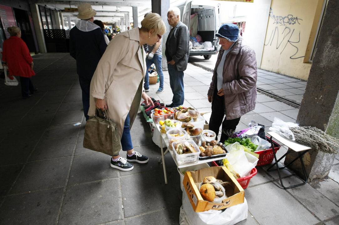 Pajūrio grybautojai liūdi