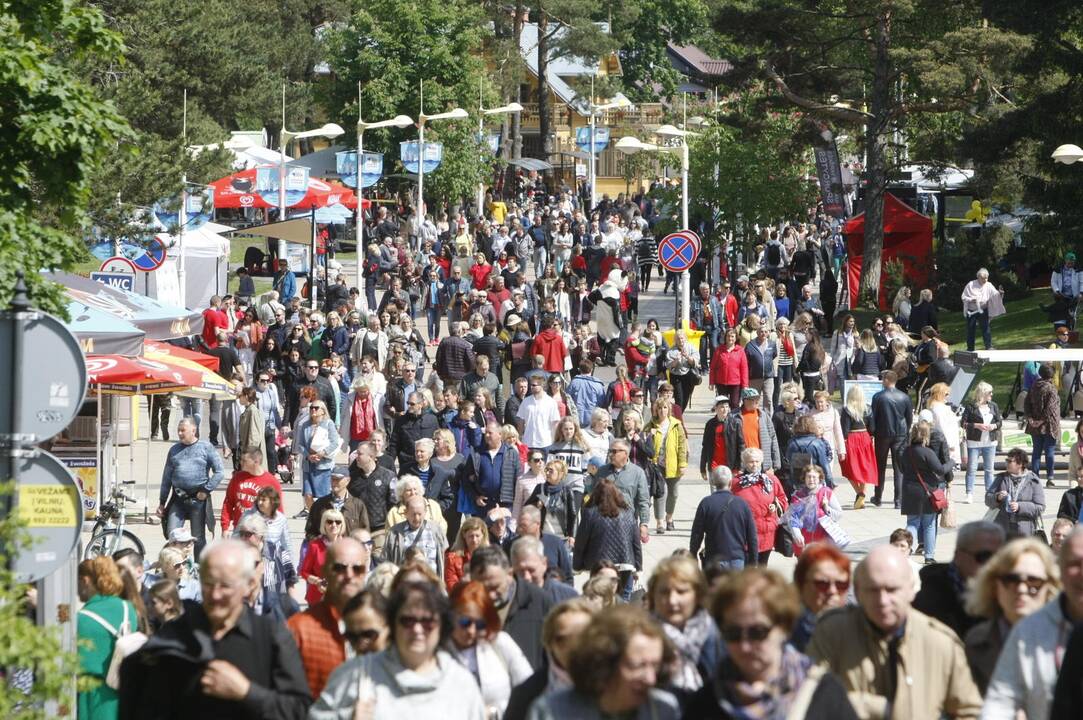 Balandžių paleidimas Palangoje