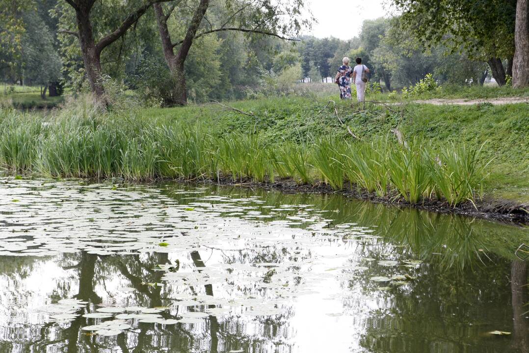 Užsitęsė darbai Malūno parke: tikisi, kad planai nežlugs