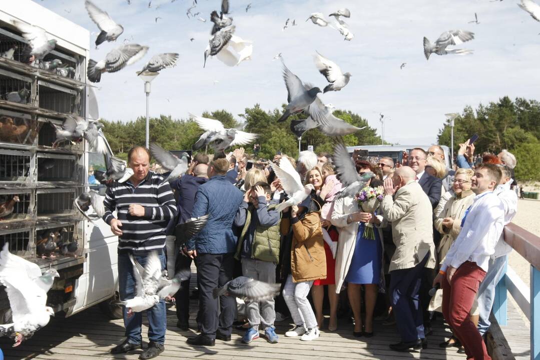 Balandžių paleidimas Palangoje