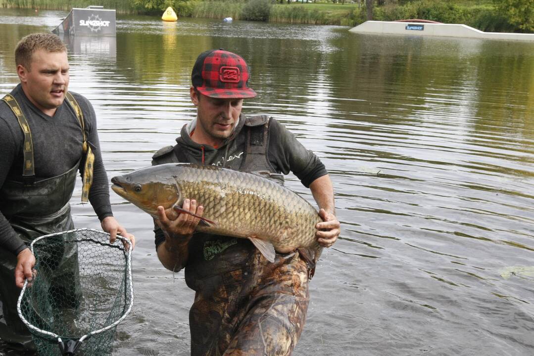 Trinyčiuose apgyvendintas žmogaus dydžio šamas