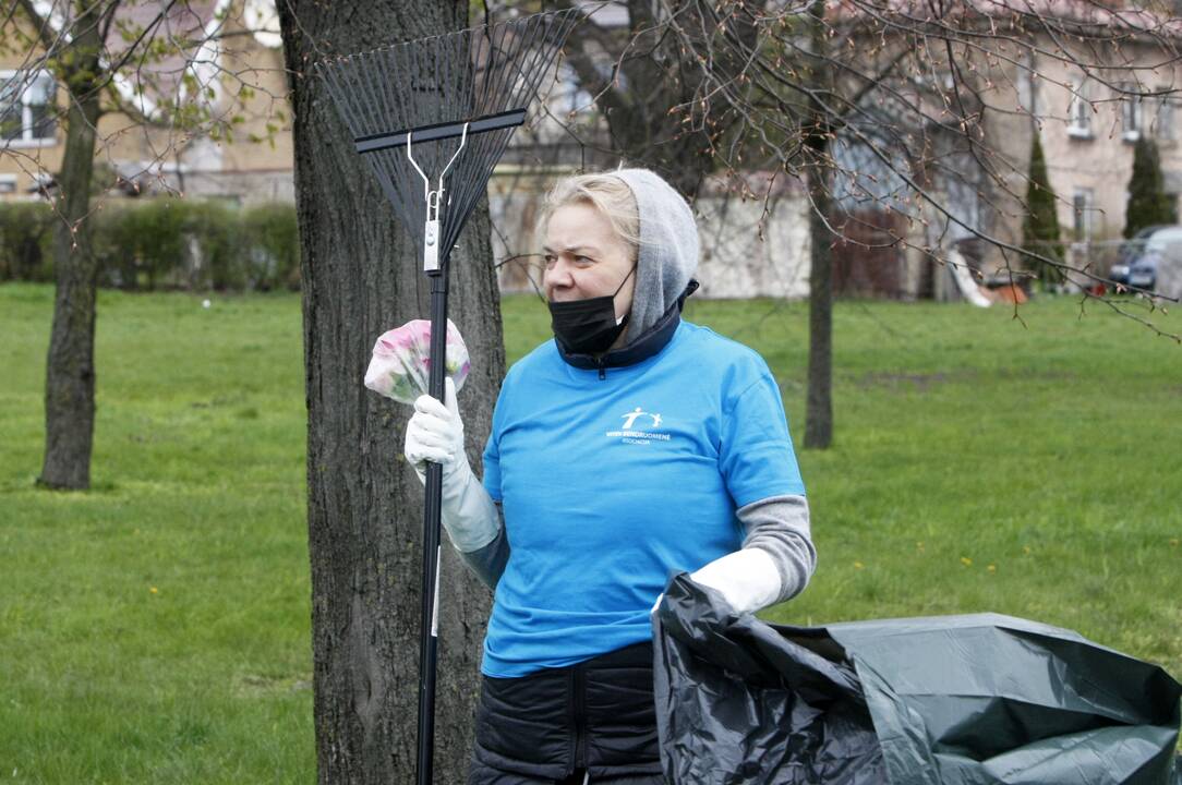 Vitės bendruomenės talka