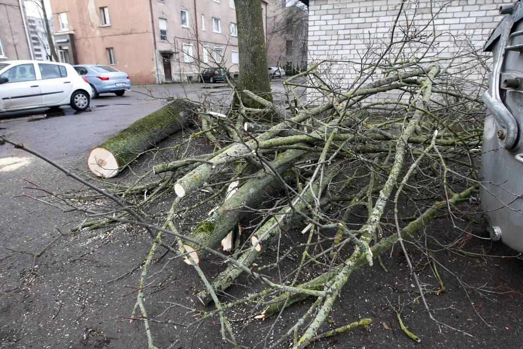 Šeštadienio naktį Klaipėdoje ir jos apylinkėse šėlo audra