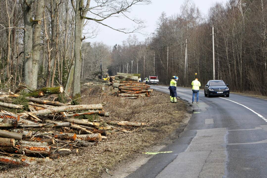 Pasirengimas gatvės rekonstrukcijai įsibėgėja