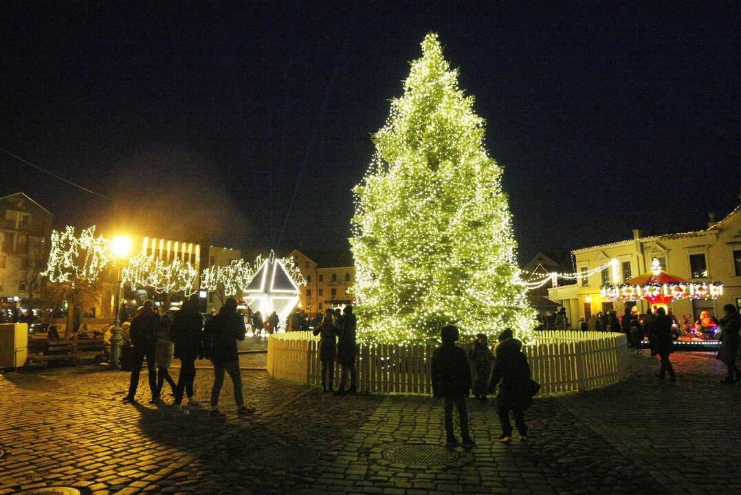 Klaipėdoje sužibo tradiciškai gyva eglė (2020)