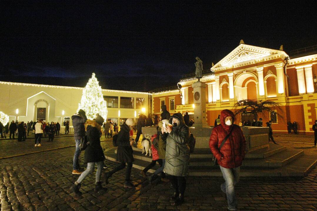 Klaipėdoje sužibo tradiciškai gyva eglė (2020)