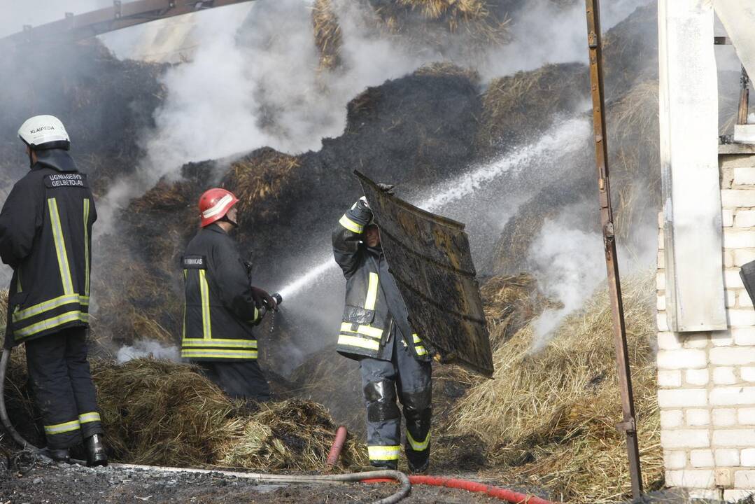 Klaipėdos rajone liepsnoja šieno prikrautas angaras