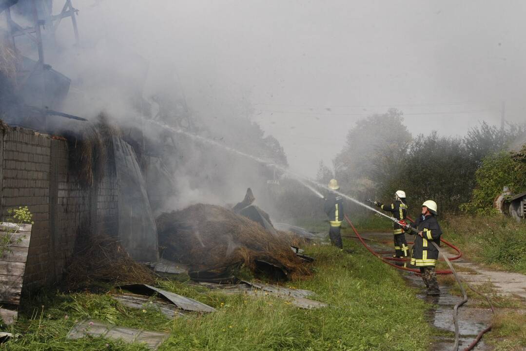 Klaipėdos rajone liepsnoja šieno prikrautas angaras