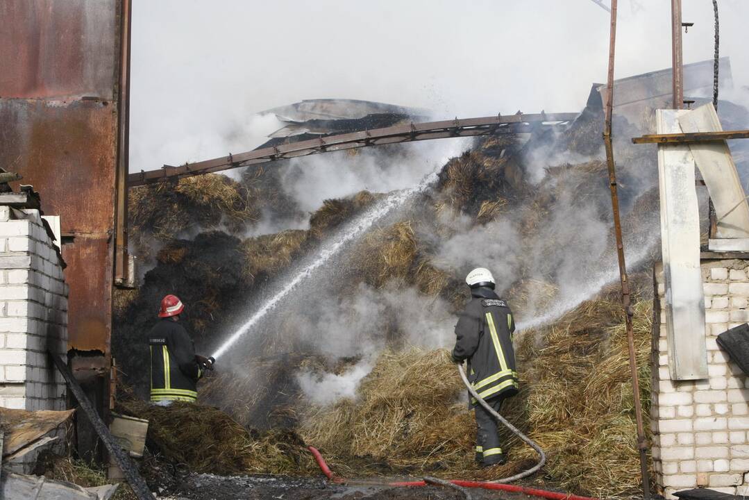 Klaipėdos rajone liepsnoja šieno prikrautas angaras