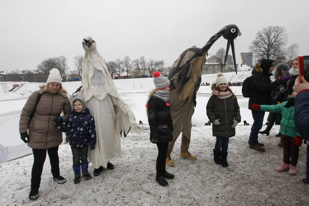 Klaipėdiečiai nenusižengė tradicijoms: per Užgavėnes išdykavo ir sudegino Morę